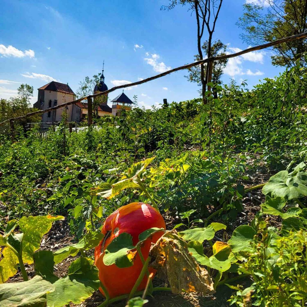 potager_chateau_treffort